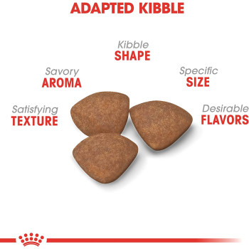 Royal Canin Size Health Nutrition Mini Puppy 800 g