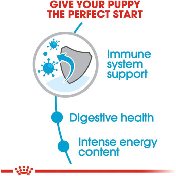 Royal Canin Size Health Nutrition Mini Puppy 800 g