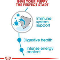 Royal Canin Size Health Nutrition Mini Puppy 800 g