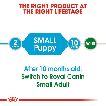 Royal Canin Size Health Nutrition Mini Puppy 800 g