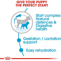 Royal Canin Size Health Nutrition Mini Starter 1 KG