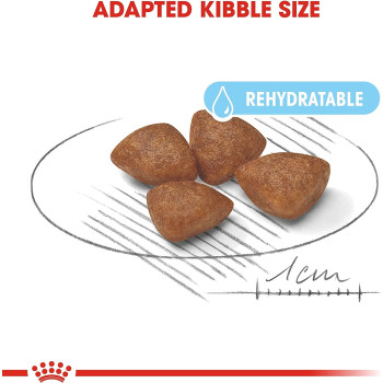 Royal Canin Size Health Nutrition Mini Starter 1 KG