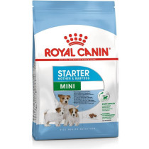 Royal Canin Size Health Nutrition Mini Starter 1 KG