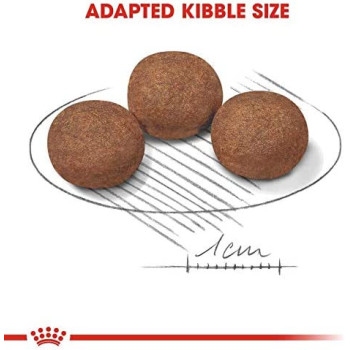 Royal Canin Size Health Nutrition Medium Puppy 10 KG