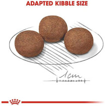 Royal Canin Size Health Nutrition Medium Puppy 10 KG