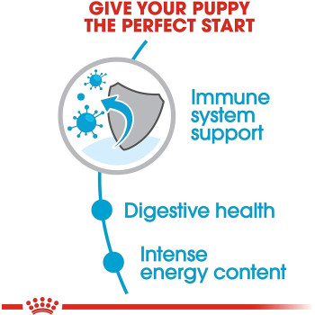 Royal Canin Shn Size Health Nutrition Mini Puppy Food 2Kg Dog Dry Food