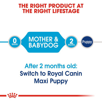Royal Canin Size Health Nutrition Maxi Starter 4 KG