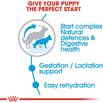 Royal Canin Size Health Nutrition Maxi Starter 4 KG