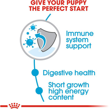 Royal Canin Size Health Nutrition Medium Puppy Food 1 KG, Dog Food