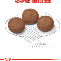 Royal Canin Size Health Nutrition Medium Puppy Food 1 KG, Dog Food