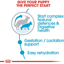 Royal Canin Size Health Nutrition Maxi Starter 15 KG