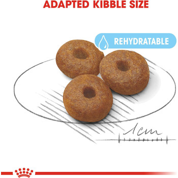 Royal Canin Size Health Nutrition Maxi Starter 15 KG