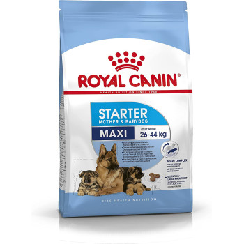 Royal Canin Size Health Nutrition Maxi Starter 15 KG