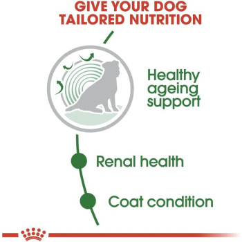 Royal Canin Size Health Nutrition Mini Ageing 12+ 1.5 KG