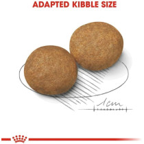 Royal Canin Size Health Nutrition Medium Adult 10 Kg