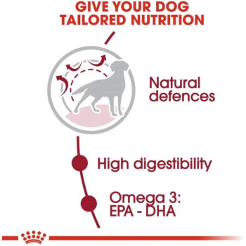 Royal Canin Size Health Nutrition Medium Adult 10 Kg