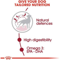 Royal Canin Size Health Nutrition Medium Adult 10 Kg