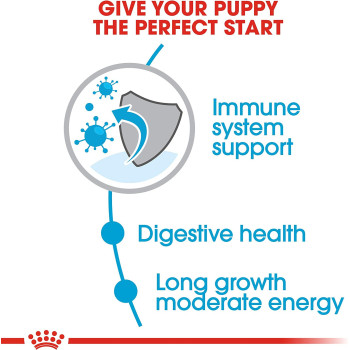  Royal Canin Size Health Nutrition Maxi Puppy Dog Food 4 KG