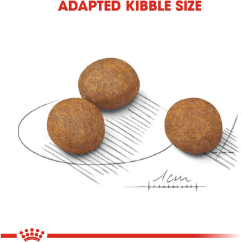  Royal Canin Size Health Nutrition Maxi Puppy Dog Food 4 KG