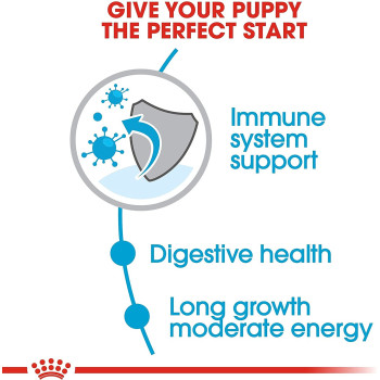  Royal Canin Size Health Nutrition Maxi Puppy Dog Food 10 KG