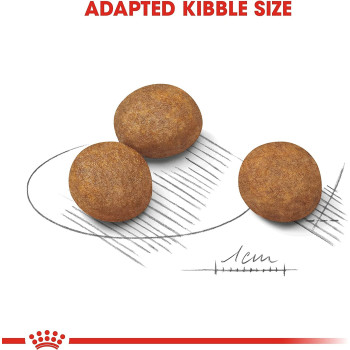  Royal Canin Size Health Nutrition Maxi Puppy Dog Food 10 KG