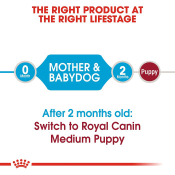 Royal Canin Size Health Nutrition Medium Starter 4 KG