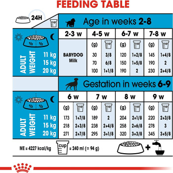 Royal Canin Size Health Nutrition Medium Starter 4 KG