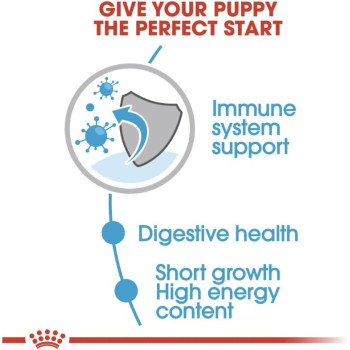 Royal Canin Size Health Nutrition Medium Puppy / Dog (Wet Food- 10 Pouches) 