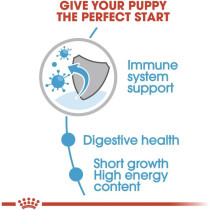 Royal Canin Size Health Nutrition Medium Puppy / Dog (Wet Food- 10 Pouches) 