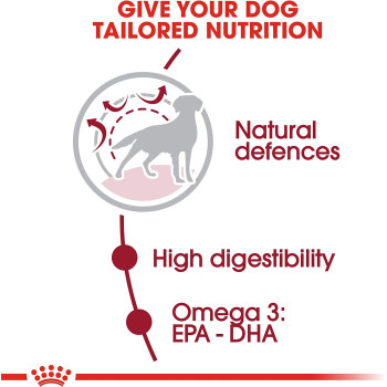 Royal Canin Size Health Nutrition Medium Adult 1 KG