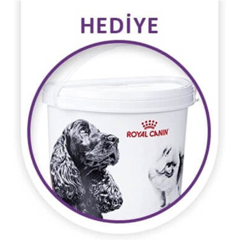 Royal Canin Size Health Nutrition Mini Indoor Adult Dog Food 1.5 KG