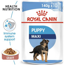 Royal Canin Size Health Nutrition Maxi Puppy Food (Wet Dog Food - 10 Pouches)