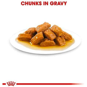 Royal Canin Size Health Nutrition Medium Adult Wet Dog Food, 10 Pouches