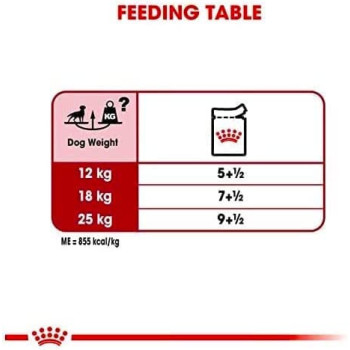 Royal Canin Size Health Nutrition Medium Adult Wet Dog Food, 10 Pouches