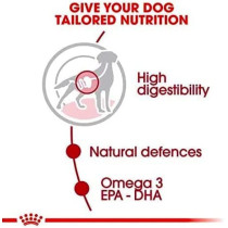 Royal Canin Size Health Nutrition Medium Adult Wet Dog Food, 10 Pouches