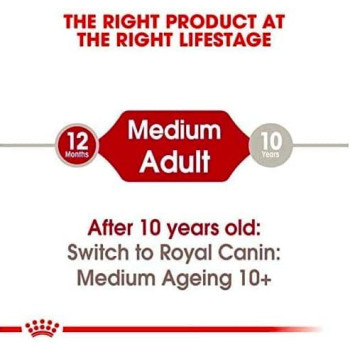 Royal Canin Size Health Nutrition Medium Adult Wet Dog Food, 10 Pouches