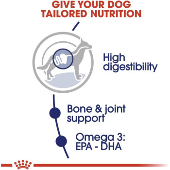 Royal Canin Size Health Nutrition Mai Adult 10 Kg