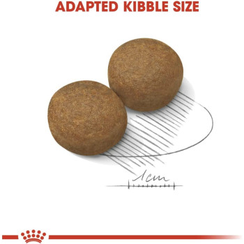 Royal Canin Size Health Nutrition Mai Adult 10 Kg