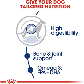 Royal Canin Size Health Nutrition Maxi Adult Dog Food 15 Kg