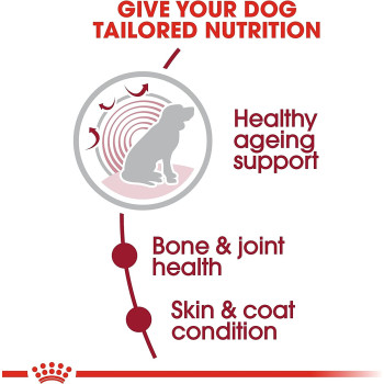 Royal Canin Size Health Nutrition Medium Ageing 10 3 Kg