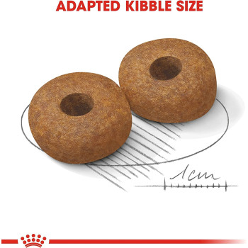 Royal Canin Size Health Nutrition Medium Ageing 10 3 Kg