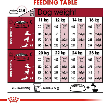 Royal Canin Size Health Nutrition Medium Ageing 10 3 Kg