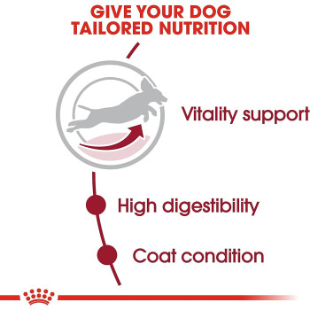 Royal Canin Size Health Nutrition Medium Adult 7 10 Kg
