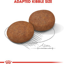 Royal Canin Size Health Nutrition Medium Adult 7 10 Kg