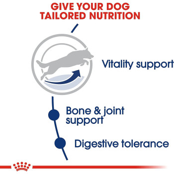 Royal Canin Size Health Nutrition Mai Adult 5 15 Kg