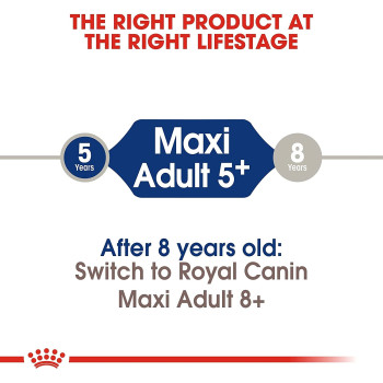 Royal Canin Size Health Nutrition Mai Adult 5 15 Kg