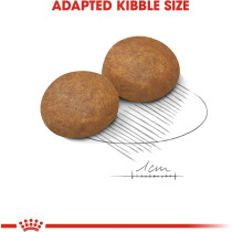 Royal Canin Size Health Nutrition Mai Adult 5 15 Kg
