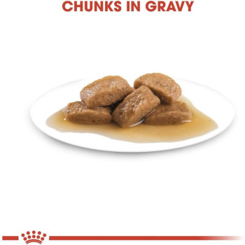 Royal Canin Size Health Nutrition Mai Adult Wet FoodPouches