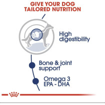 Royal Canin Size Health Nutrition Mai Adult Wet FoodPouches