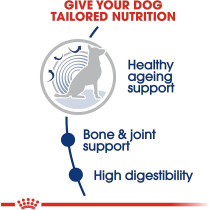Royal Canin Size Health Nutrition Mai Ageing 8 15 Kg